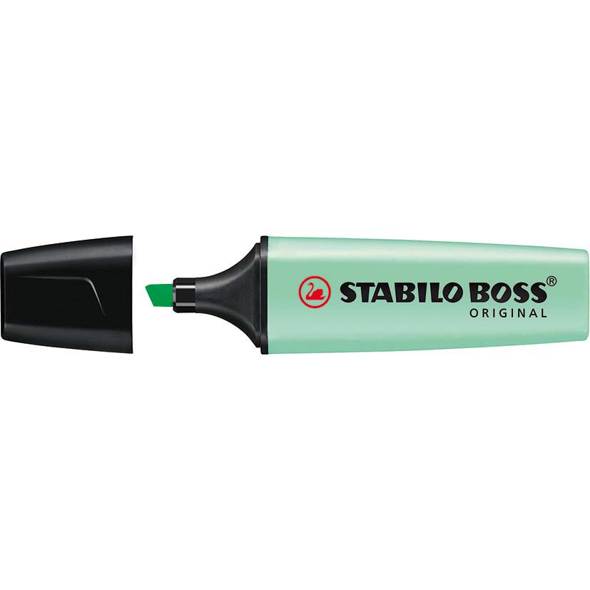 BOSS Original Pastel him of mint